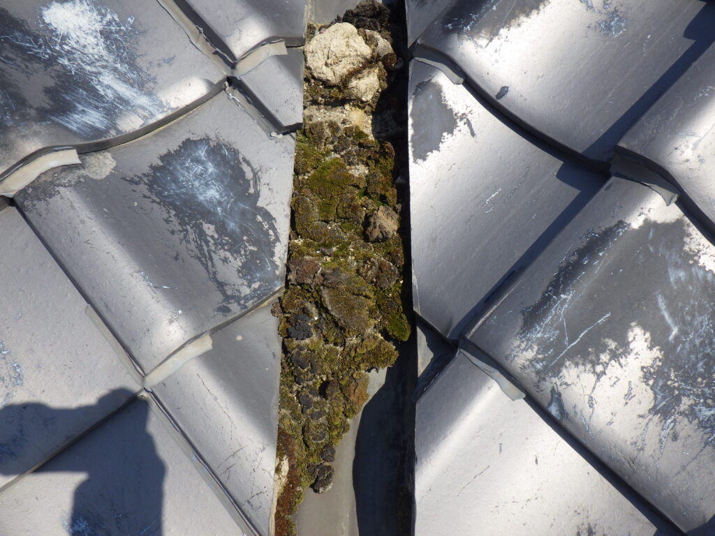 着工前状況