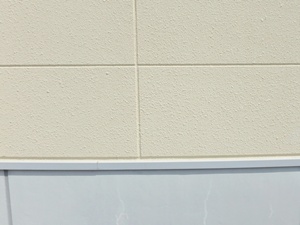 雨で汚れを洗い流すセルフクリーニング効果