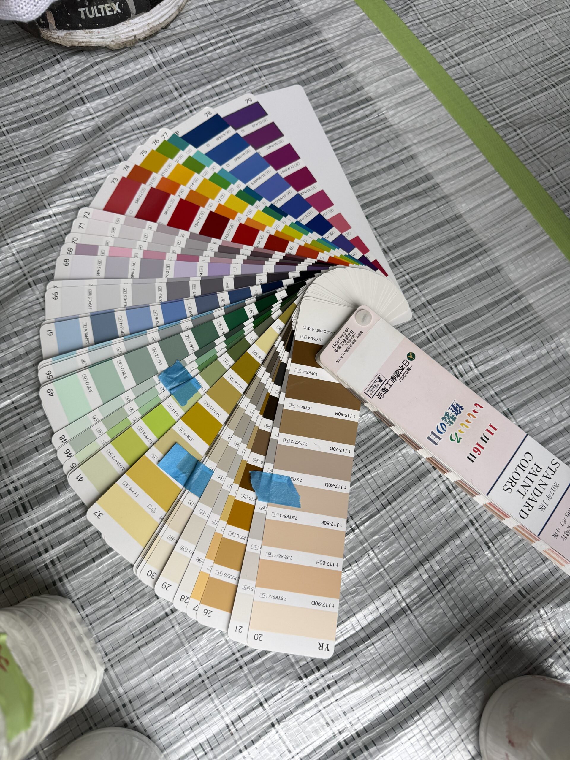 今日もあいにくの雨ですが…