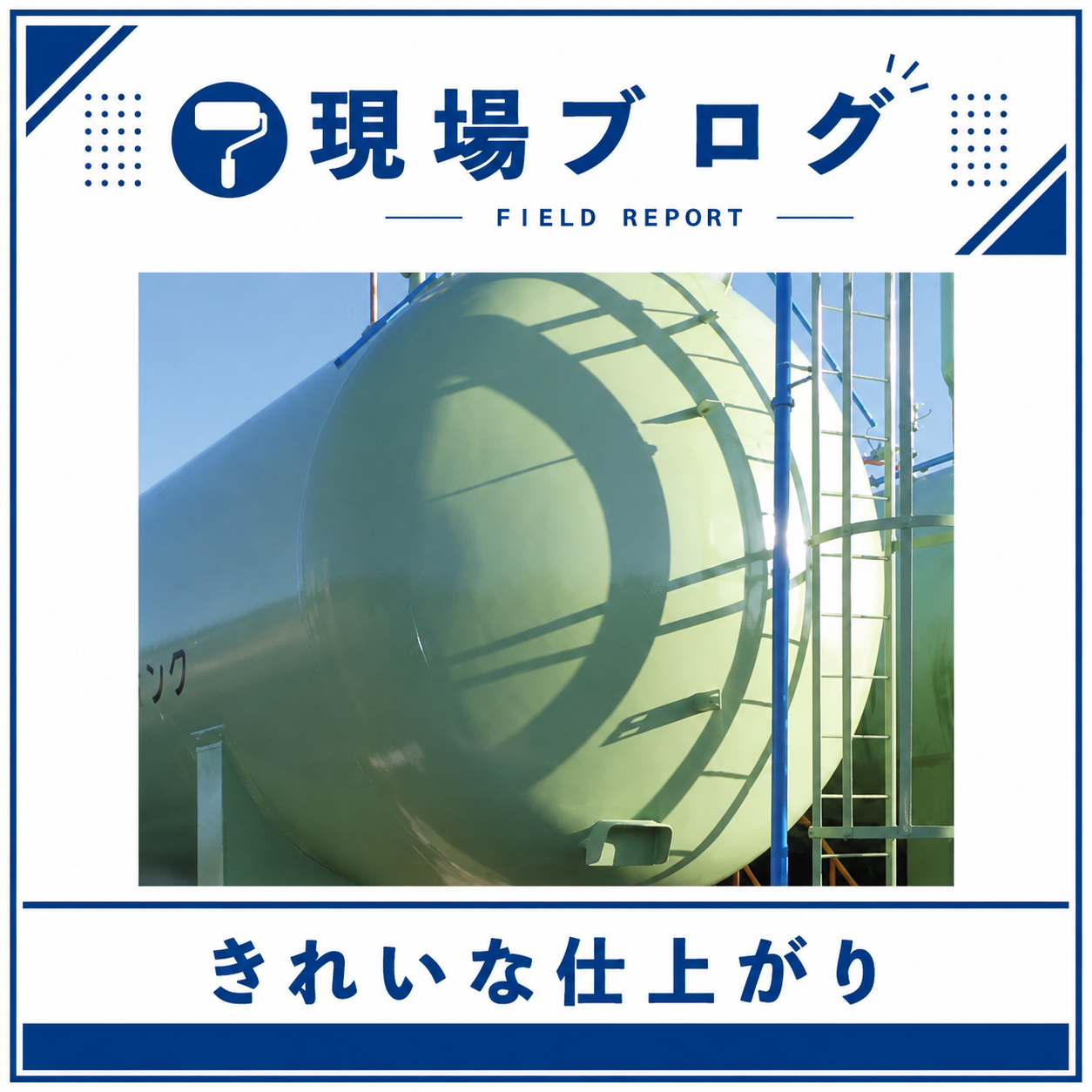 この艶がとてもいい♪