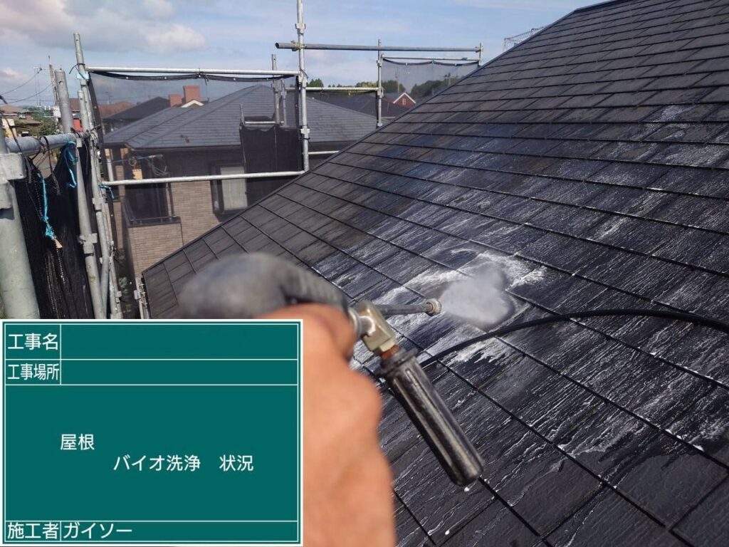 バイオ洗浄状況