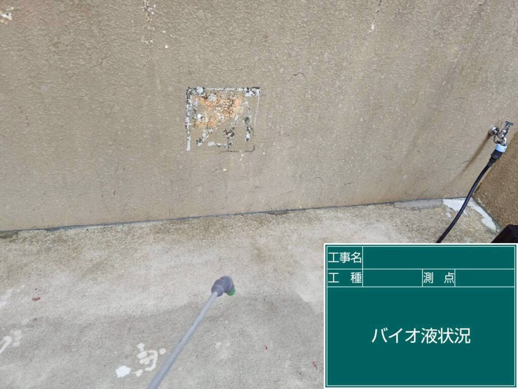 バイオ洗浄状況